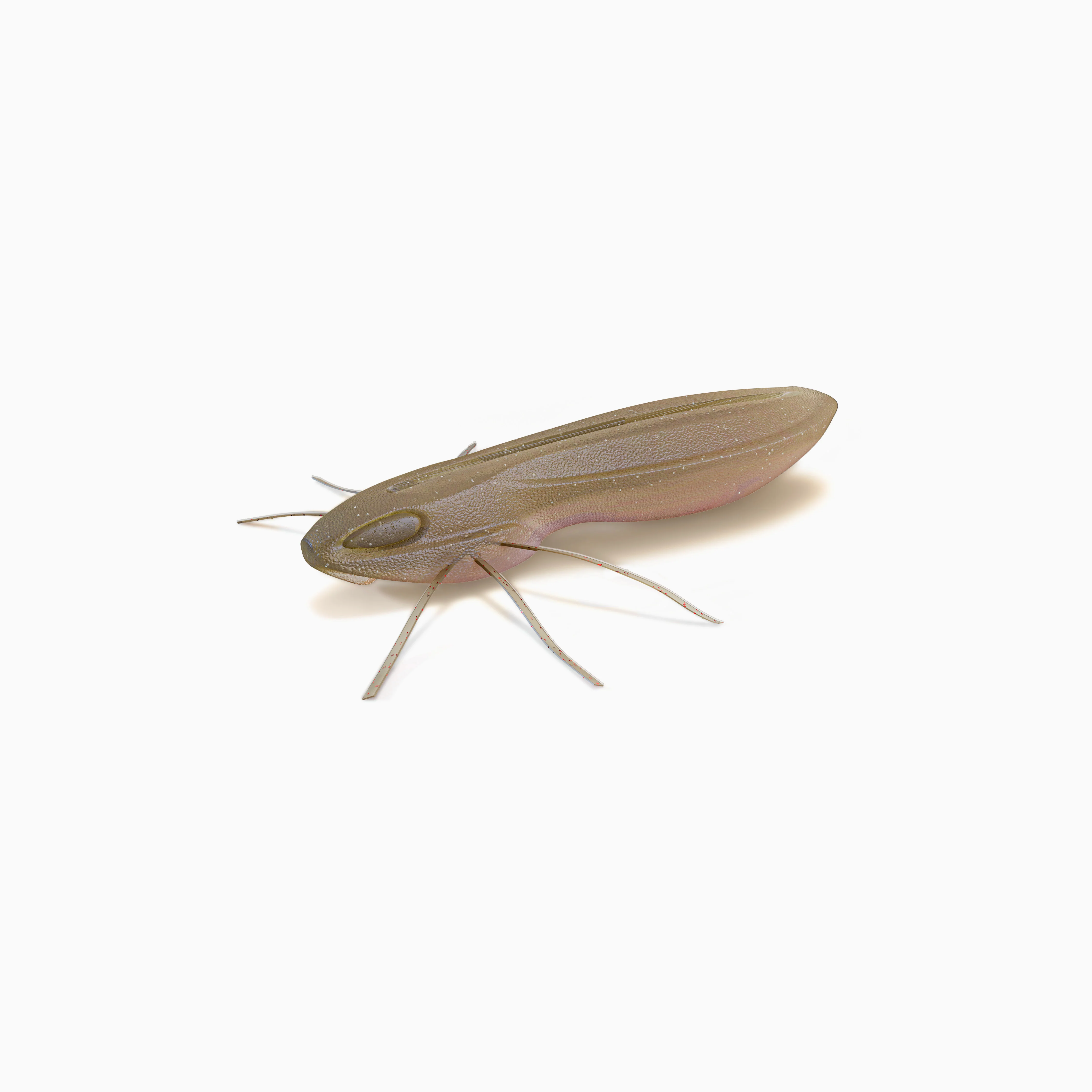 Nays BG - Image 5